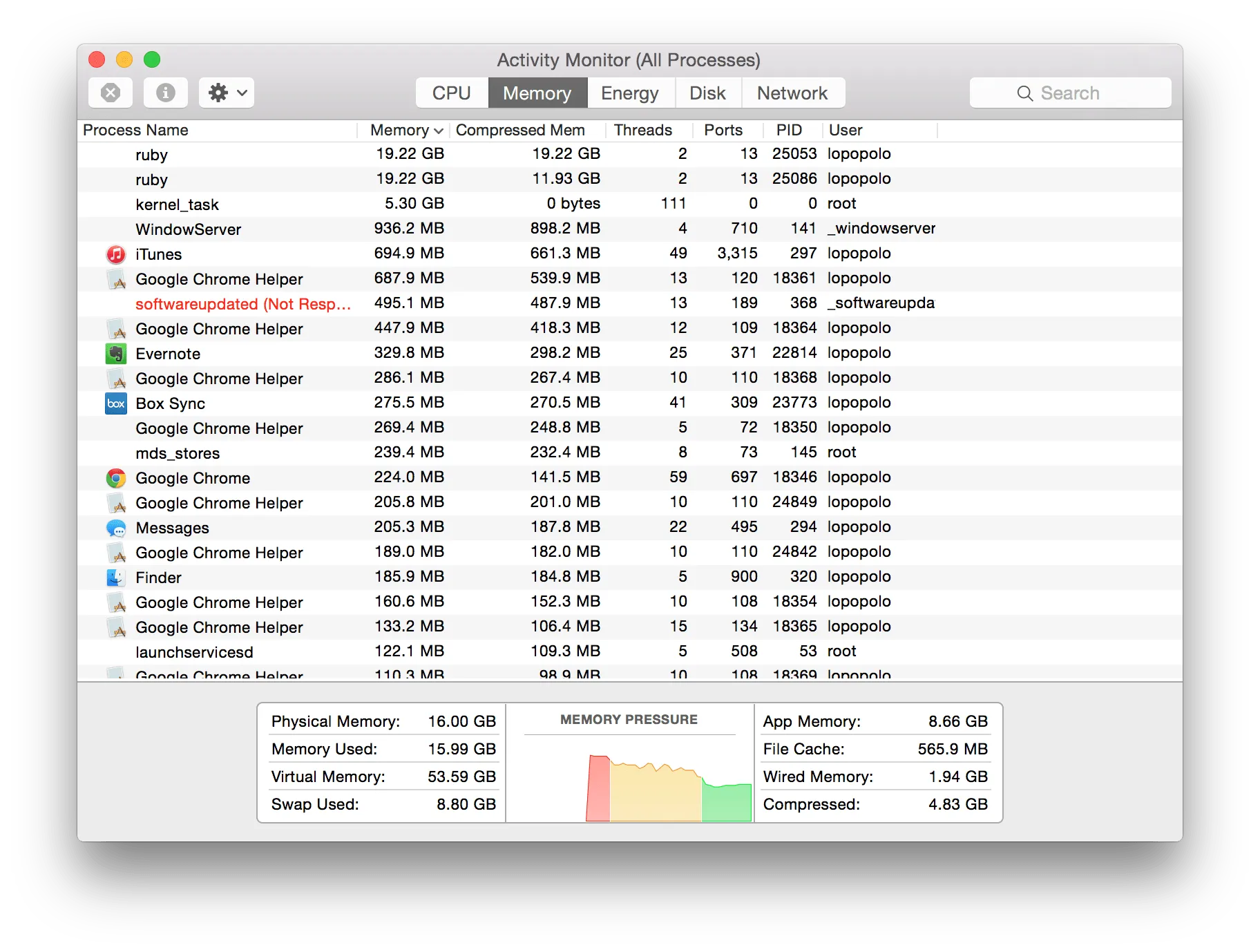 Activity Monitor showing two Ruby processes using about 19 GB of memory each and 8.80 GB of swap in use.