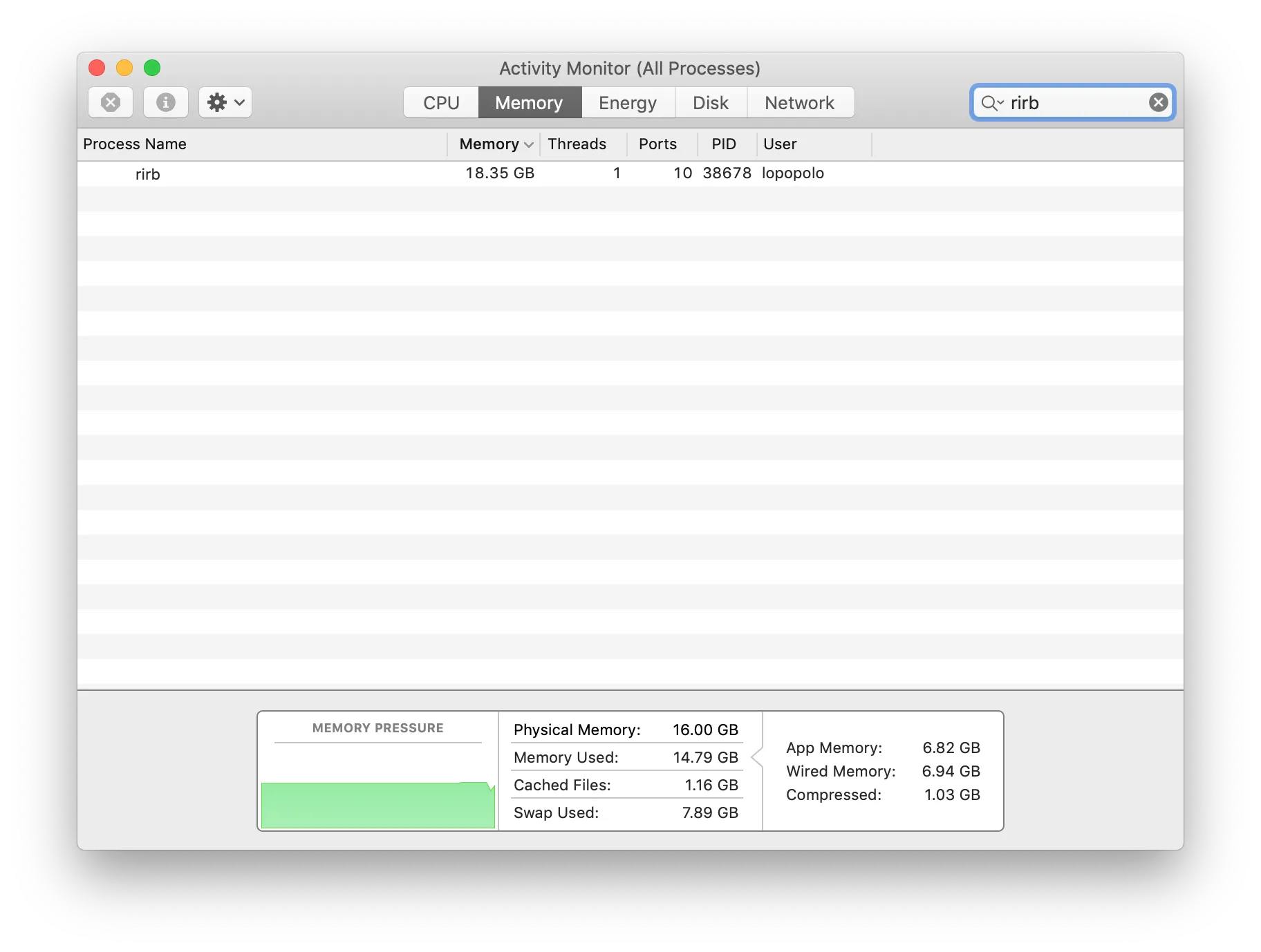 Activity Monitor showing a single rirb process using 18.35 GB of memory.