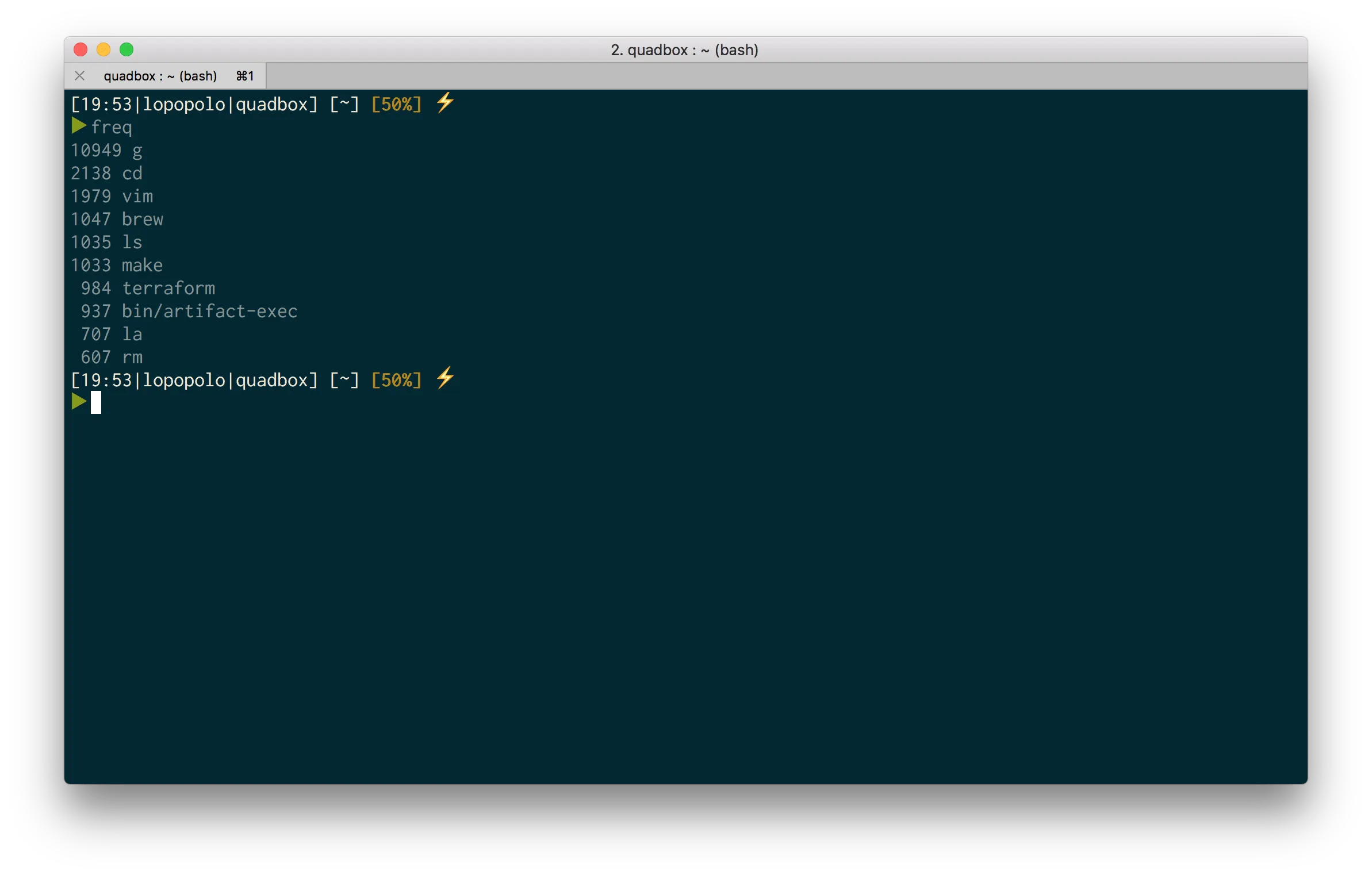 Terminal frequency report listing g, cd, vim, brew, ls, make, and other frequently used commands.